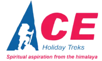 Ace Treks