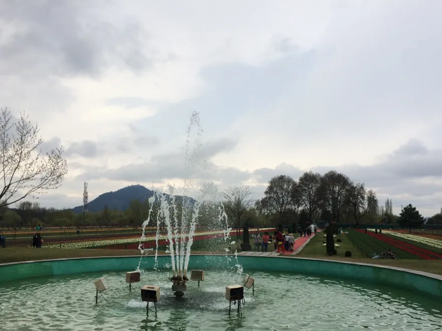 Sikkim Darjeeling Tour