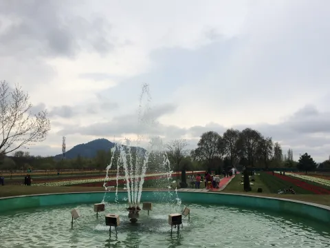 Sikkim Darjeeling Tour