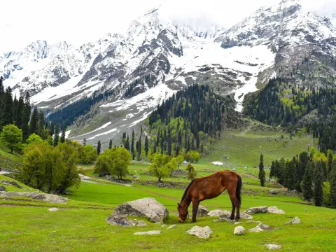 Kashmir Tour