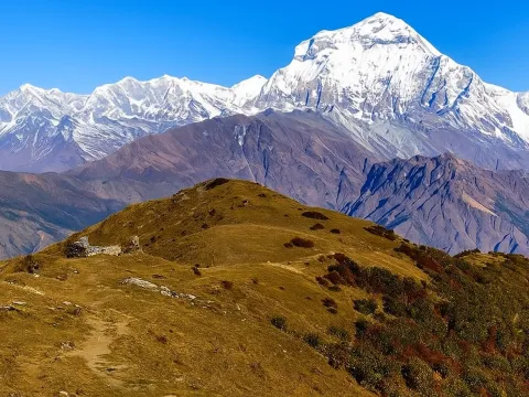 KHOPRA RIDGE TREKKING - 11 DAYS