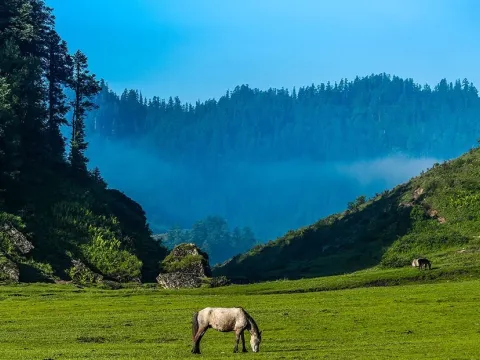 KHAPTAD NATIONAL PARK TREKKING - 12 DAYS
