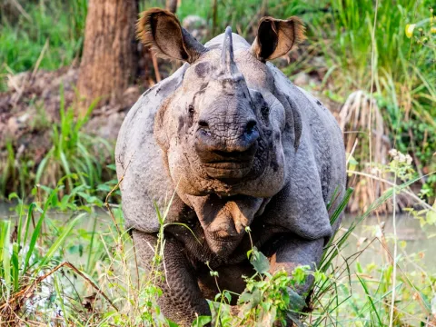 Nature and Wildlife Tours