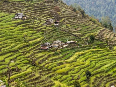Agrotourism