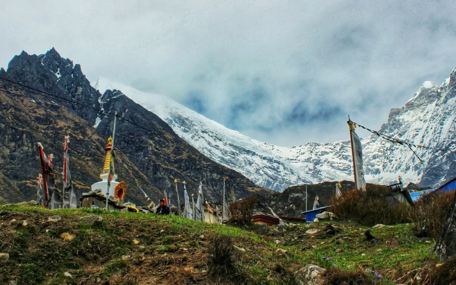 Best Langtang Region Trekking Packages