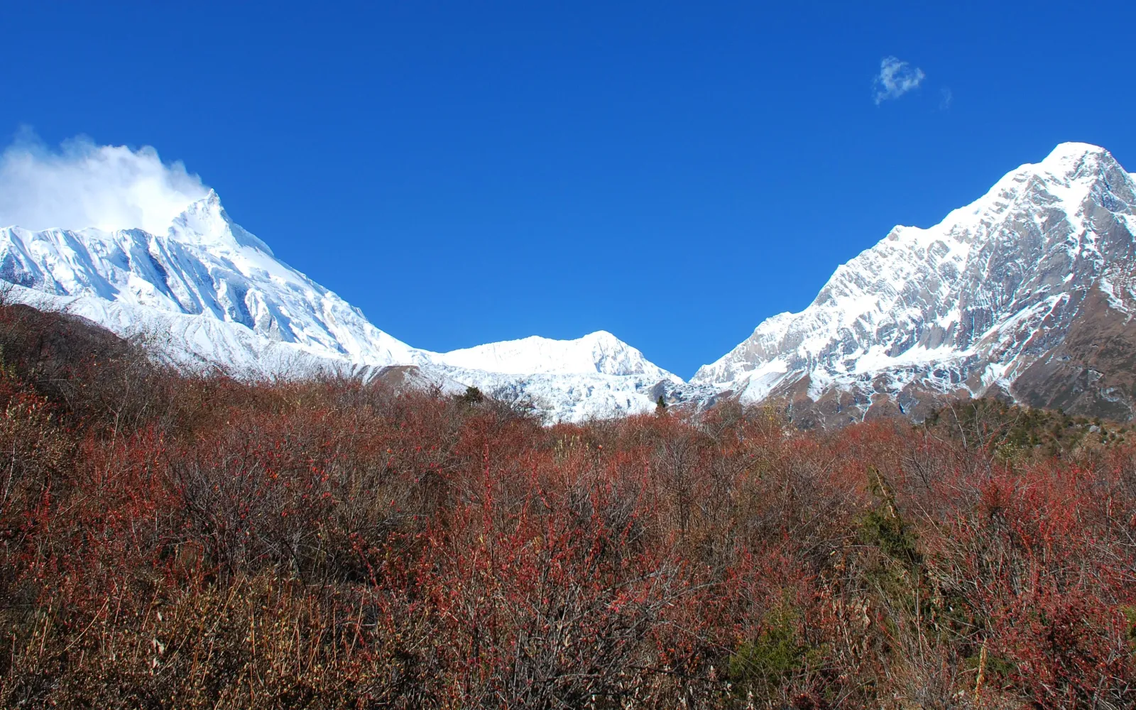 Manaslu Region Trek: The Best Alternative to the Popular Treks in the Everest and Annapurna Regions