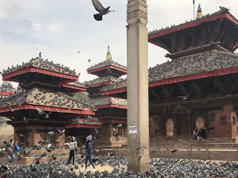 Best of Nepal: A Journey Through Culture, Mountains, and Serenity