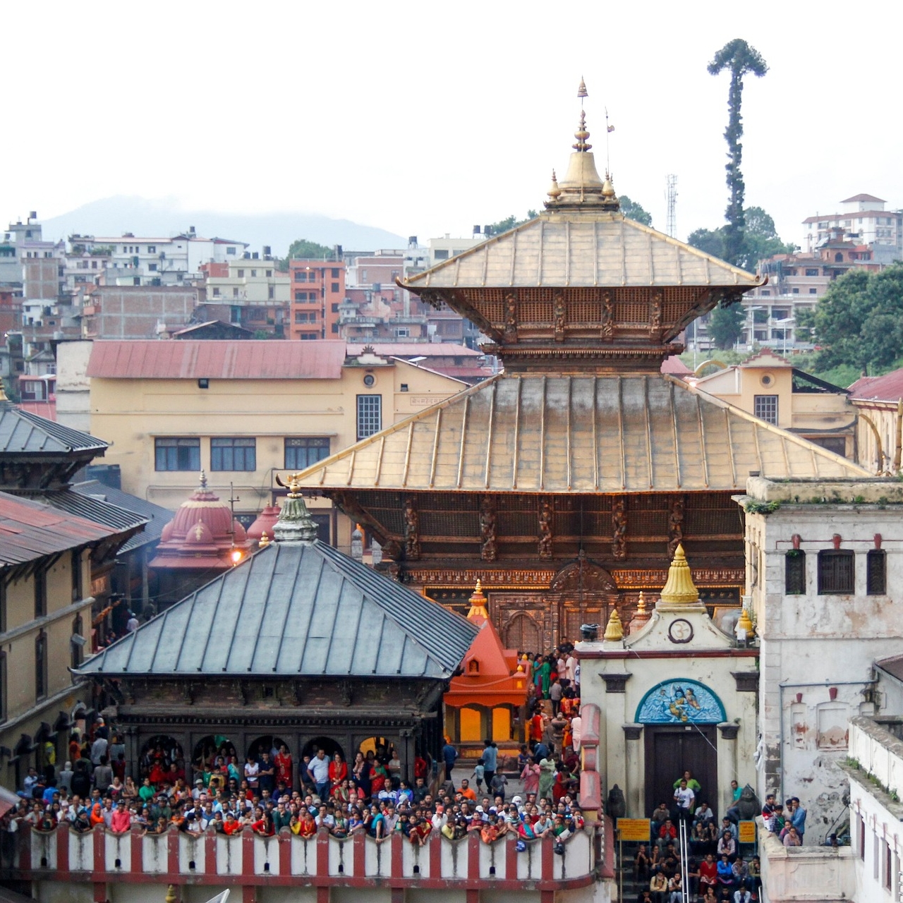 Pilgrimage, Religious Tours