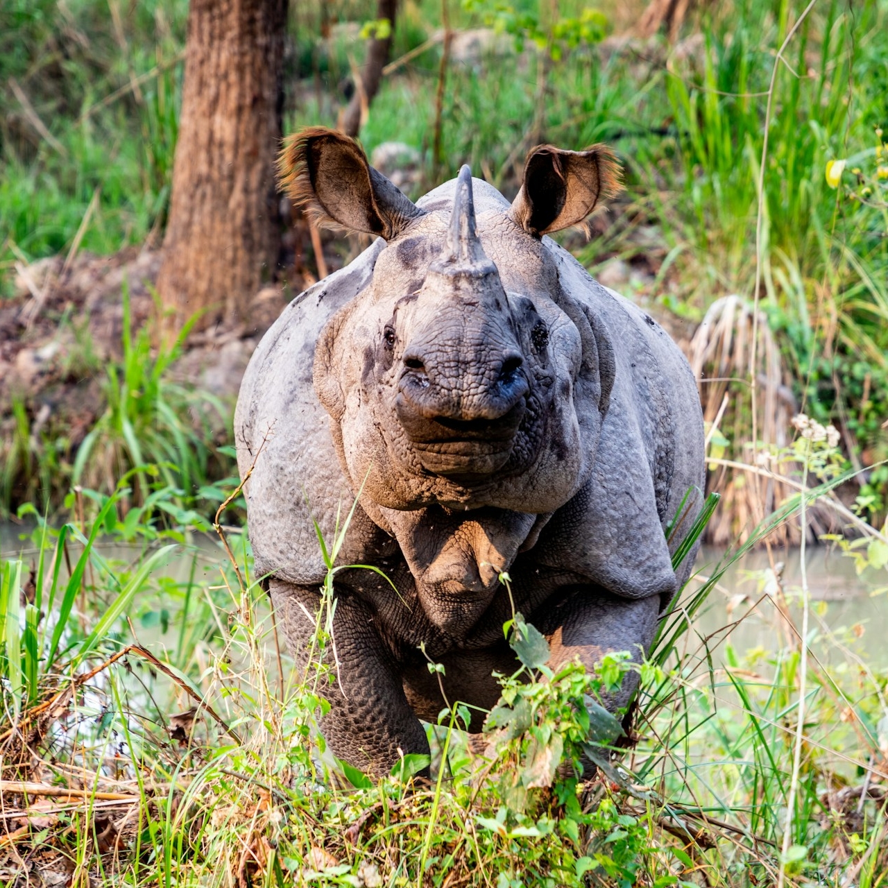 Nature and Wildlife Tours