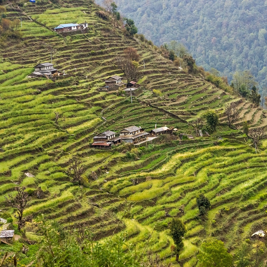 Agrotourism