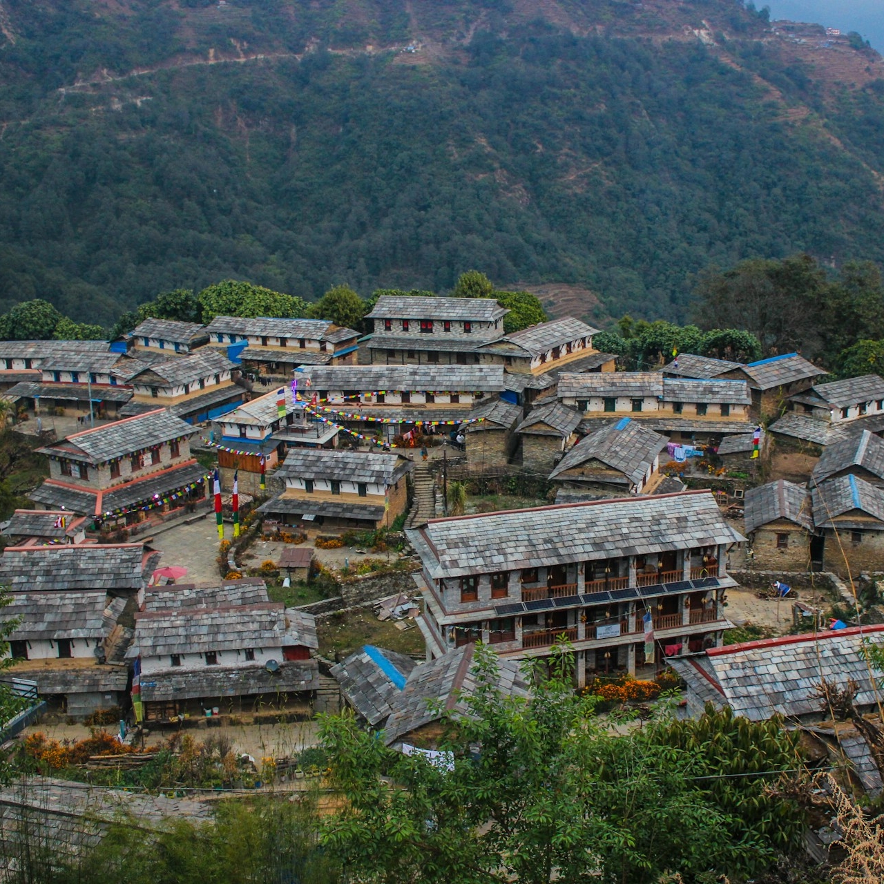 Cultural Village Tours