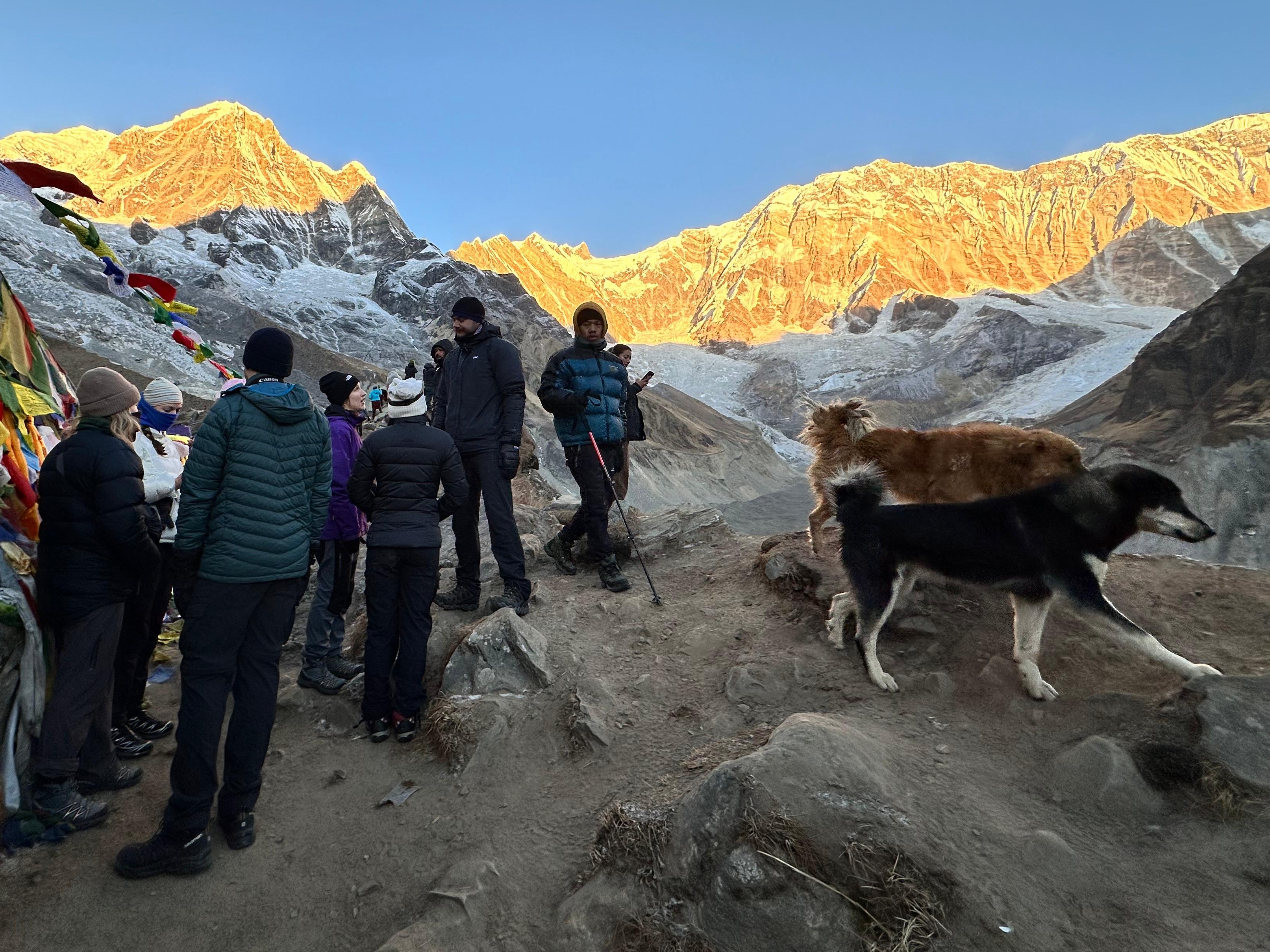 annapurna base camp - Ace Holiday Treks