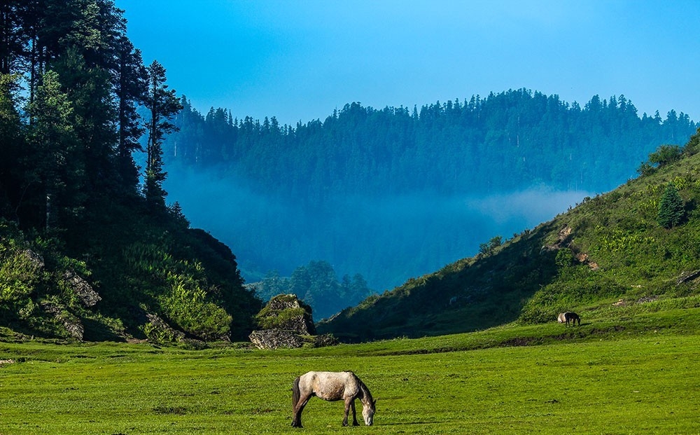 KHAPTAD NATIONAL PARK TREKKING - 12 DAYS